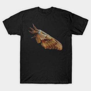 Giant Polyphemus Moth T-Shirt